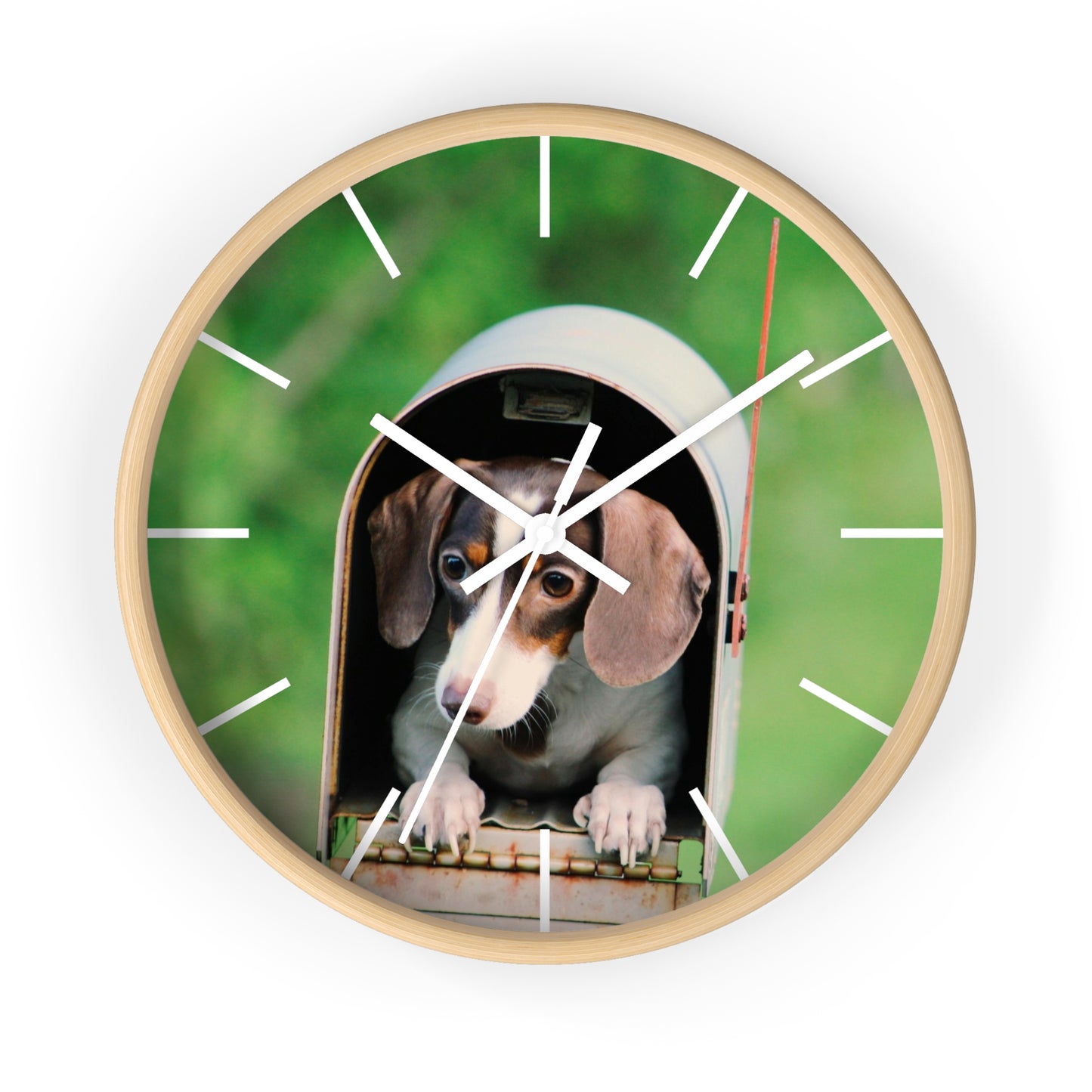 Dog in Post Box different colors Wall Clock