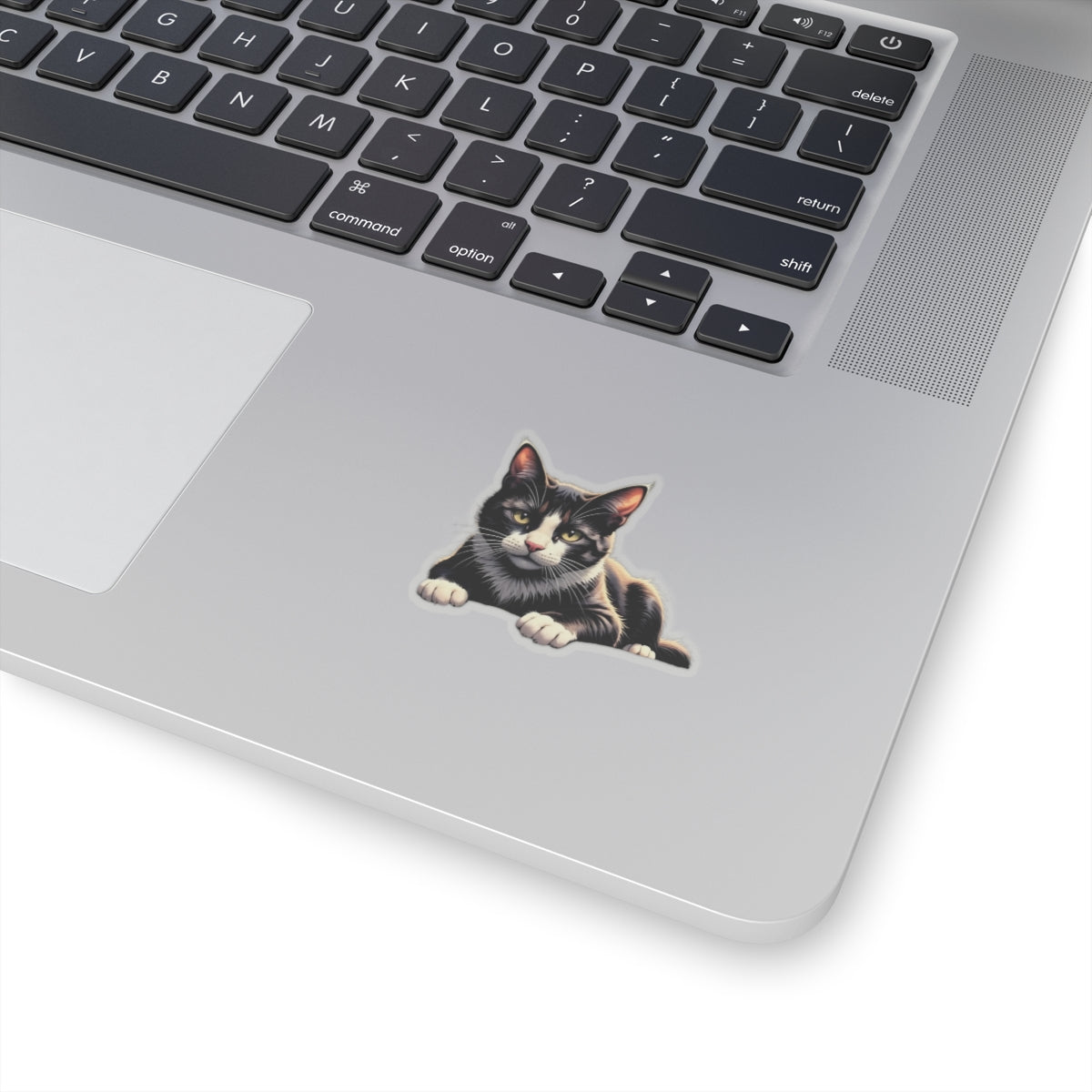 Cute Cat Kiss-Cut Stickers, Black Cat Vinyl Decals for Pet Lovers, Laptop Stickers, Cat Lover Gifts, Custom Pet Stickers