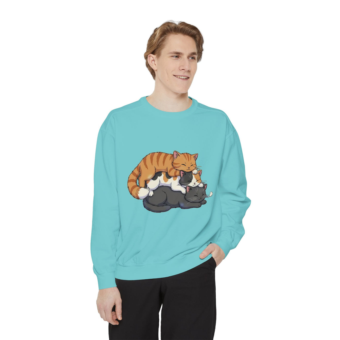 3 Cute Sleeping Cats style 6 Cozy Graphic Unisex Crewneck Sweatshirt