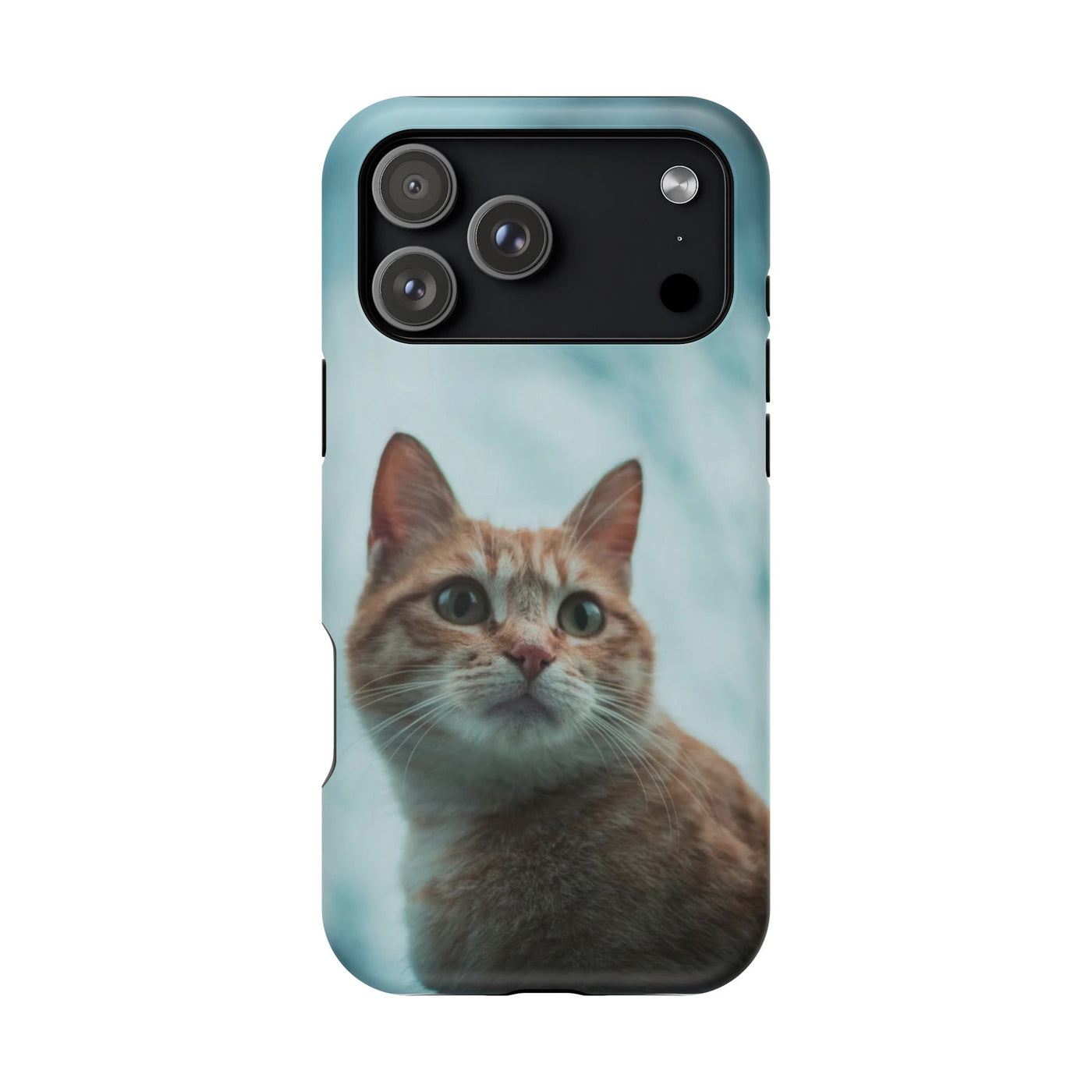 Cute Cat Magnetic Phone Case style 1 - Durable Pet Lover Gift, Impact-Resistant, Cat-Themed Accessories, Unique Pet Gifts, Birthday Gifts