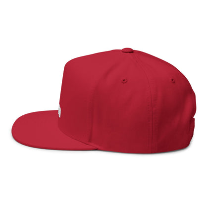 Stylish Embroidered Dog Mom Flat Bill Cap style 4