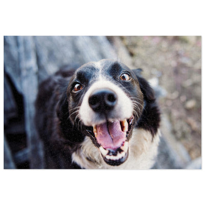 Happy Dog Jigsaw Puzzle, 1000 Pieces, Dog Lover Gift, Family Fun Activity, Personalized Puzzle with Tin, Unique Home Decor, Pet Memorial Gift