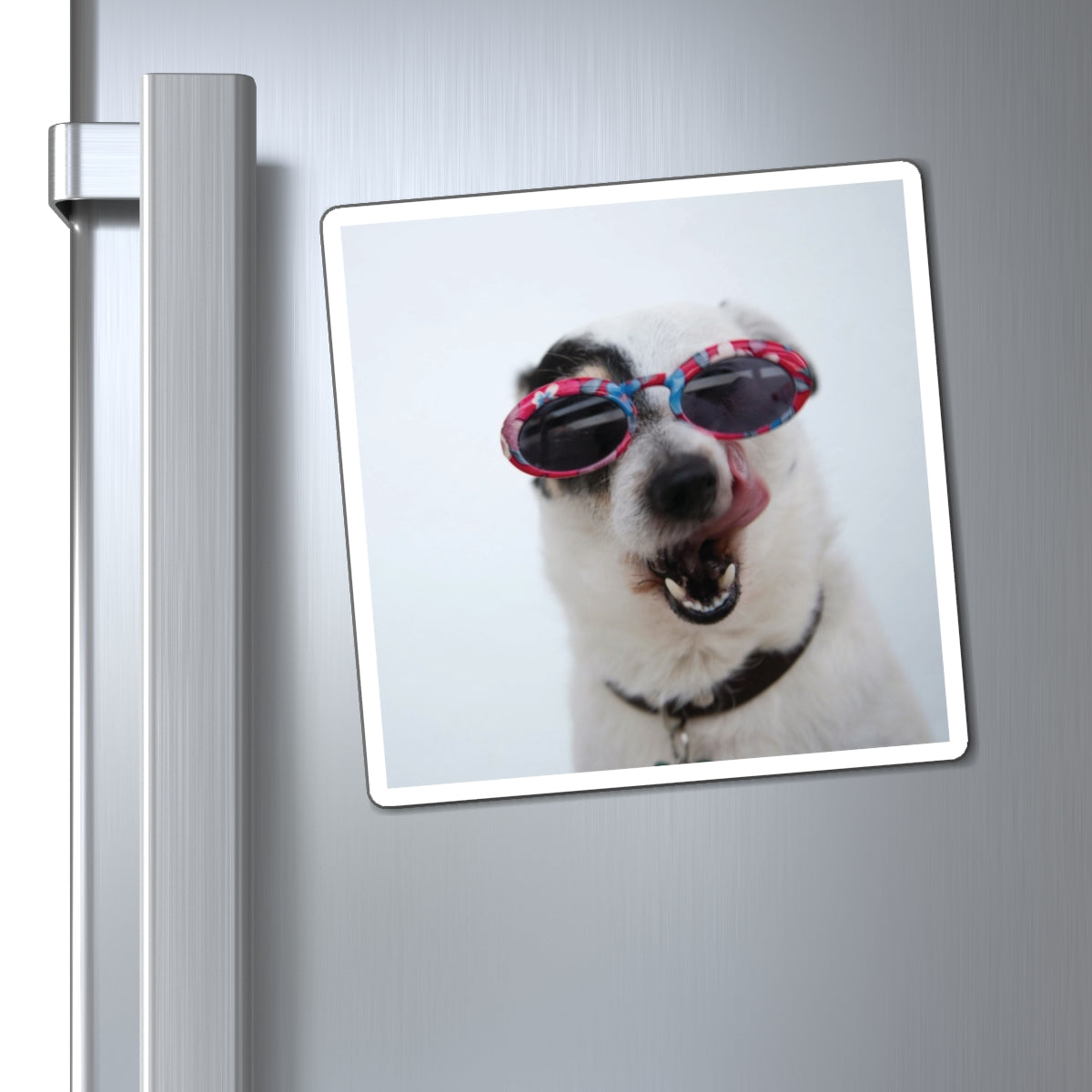 Funny Dog Photo Magnet