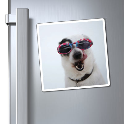 Funny Dog Photo Magnet