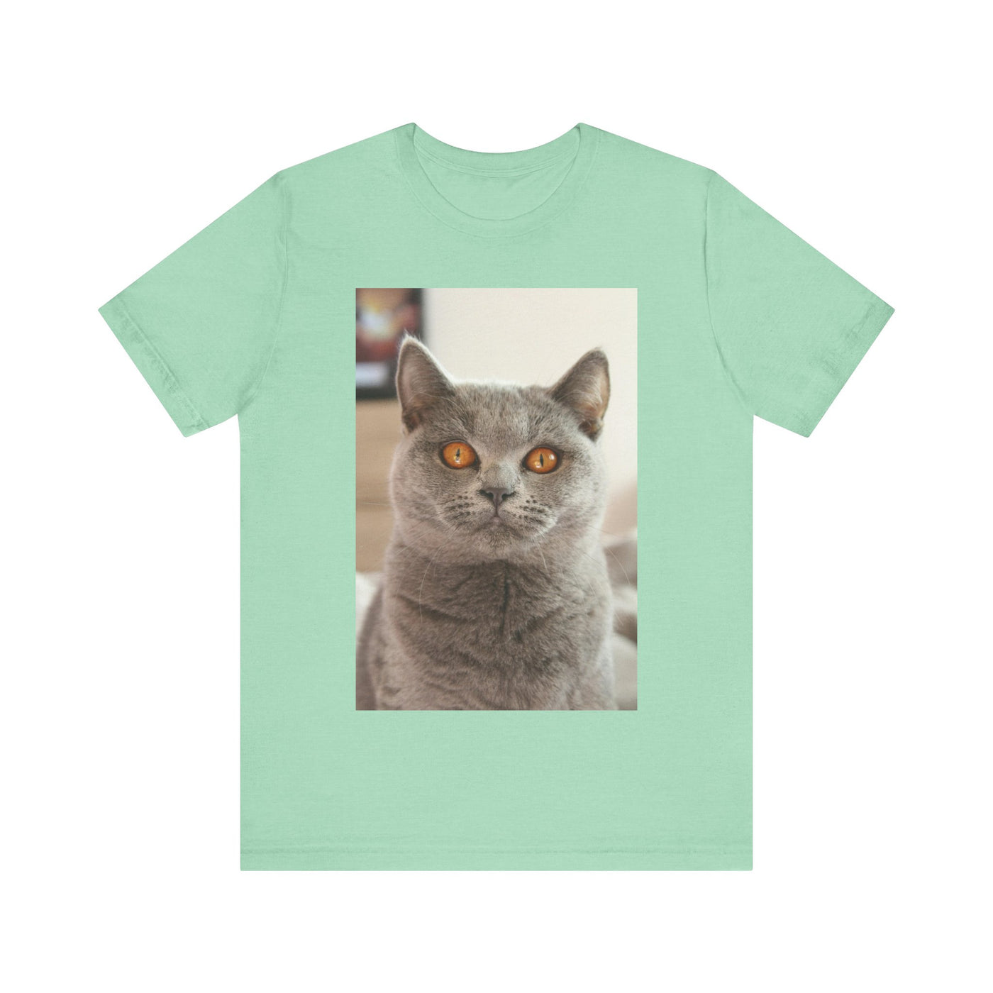 Grey Cat looks at you - Unisex Jersey Short Sleeve Tee
