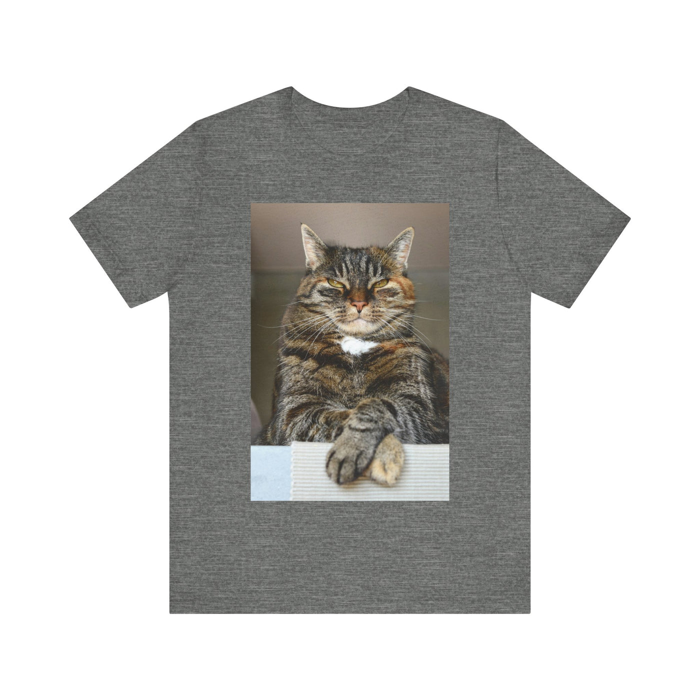 Brown Cat looks at you - Unisex Jersey Short Sleeve Tee