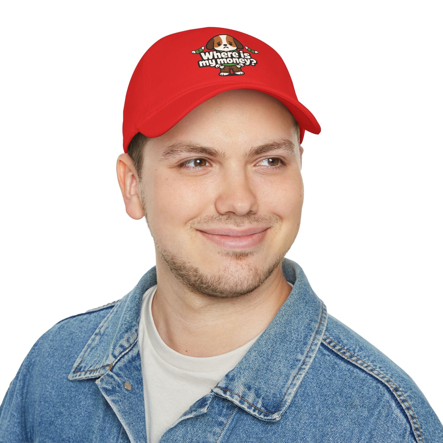 Where is my money Cute Dog Low Profile Cap Hat