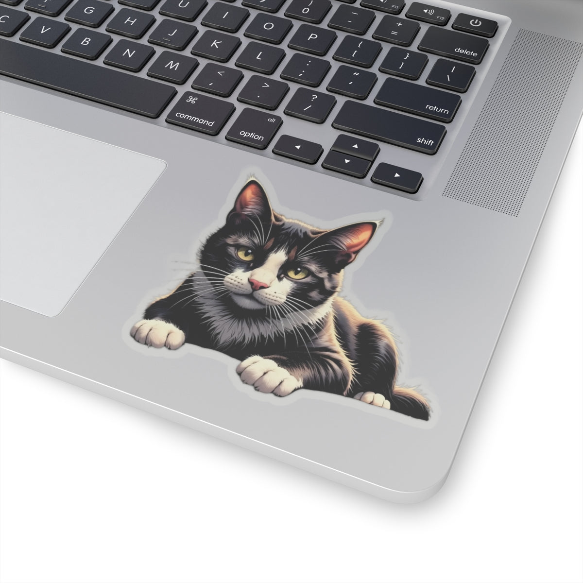Cute Cat Kiss-Cut Stickers, Black Cat Vinyl Decals for Pet Lovers, Laptop Stickers, Cat Lover Gifts, Custom Pet Stickers