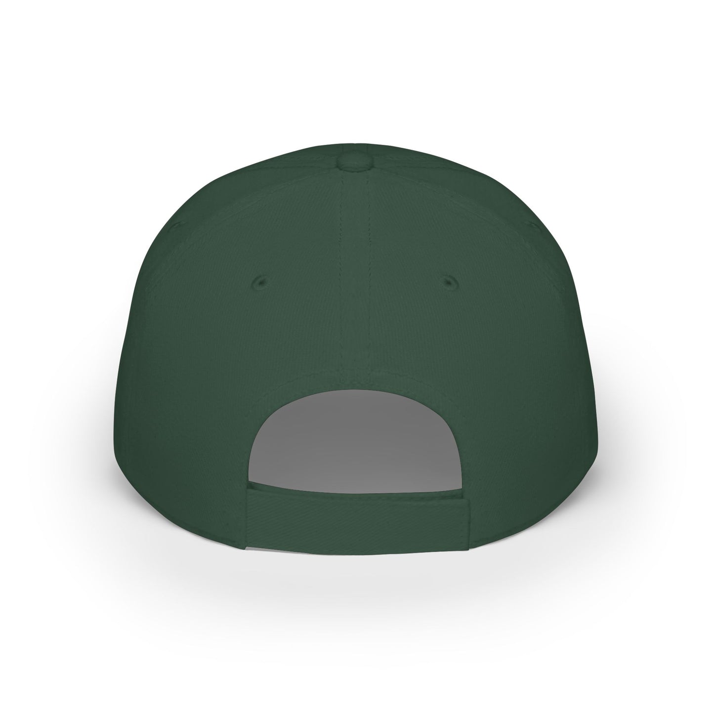 Where is my money Cute Cat Low Profile Cap Hat