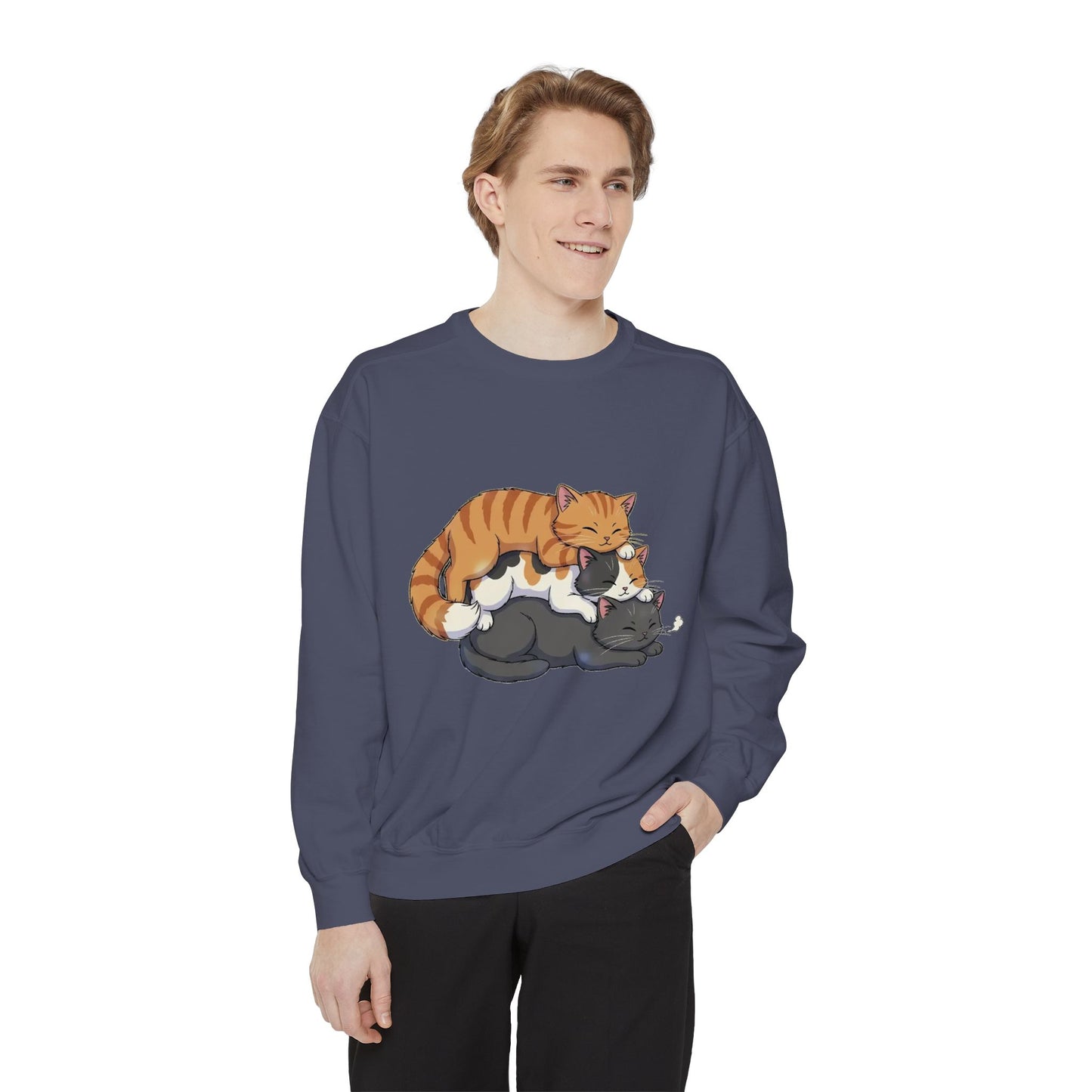 3 Cute Sleeping Cats Cozy Graphic Unisex Crewneck Sweatshirt style 6