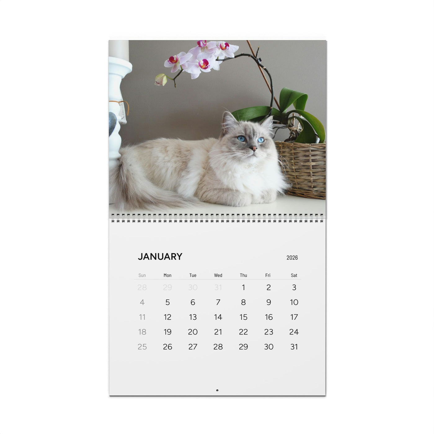 2026 Cat Wall Calendar, Cute Kitten Theme, Animal Lover Gift, Pet Lover Wall Decor, Monthly Planner
