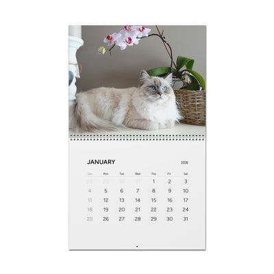 2026 Cat Wall Calendar, Cute Kitten Theme, Animal Lover Gift, Pet Lover Wall Decor, Monthly Planner