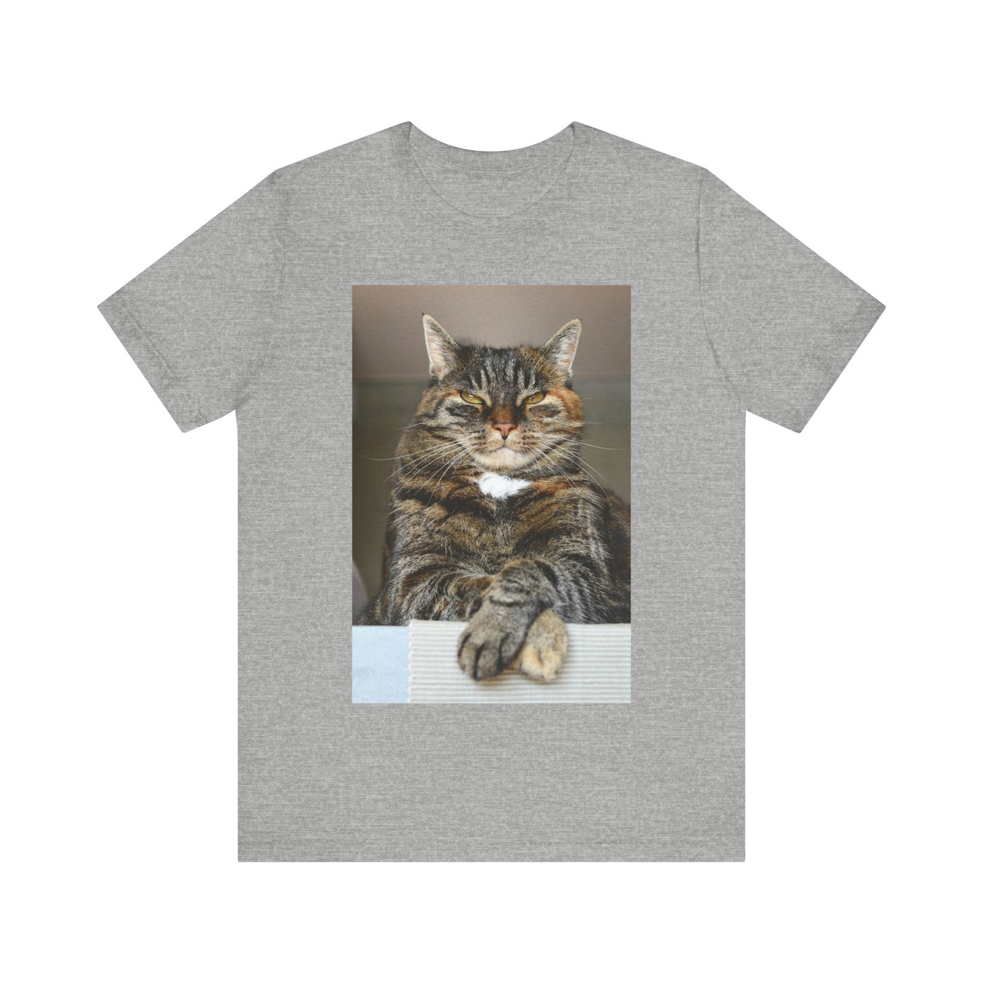 Brown Cat looks at you - Unisex Jersey Short Sleeve Tee