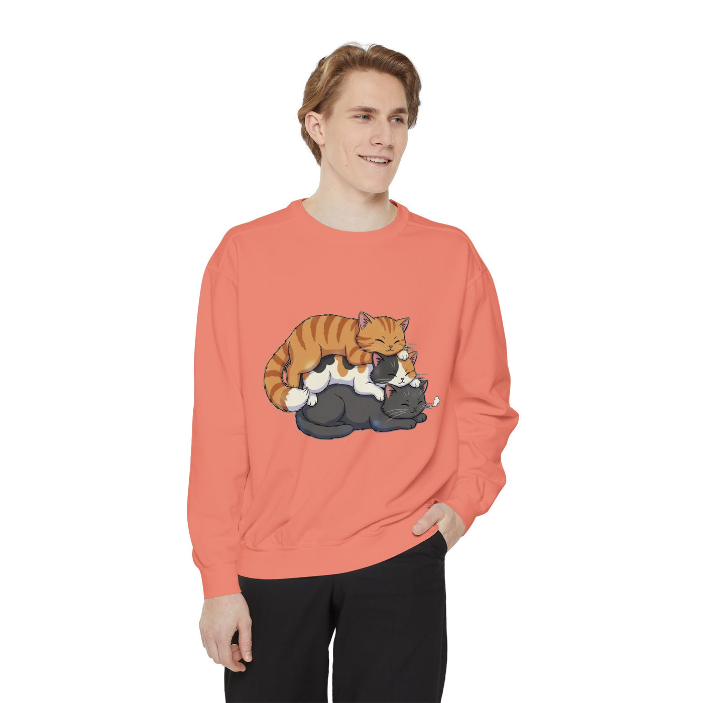3 Cute Sleeping Cats style 6 Cozy Graphic Unisex Crewneck Sweatshirt