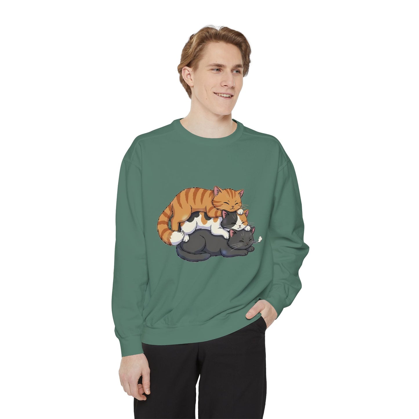 3 Cute Sleeping Cats Cozy Graphic Unisex Crewneck Sweatshirt style 6