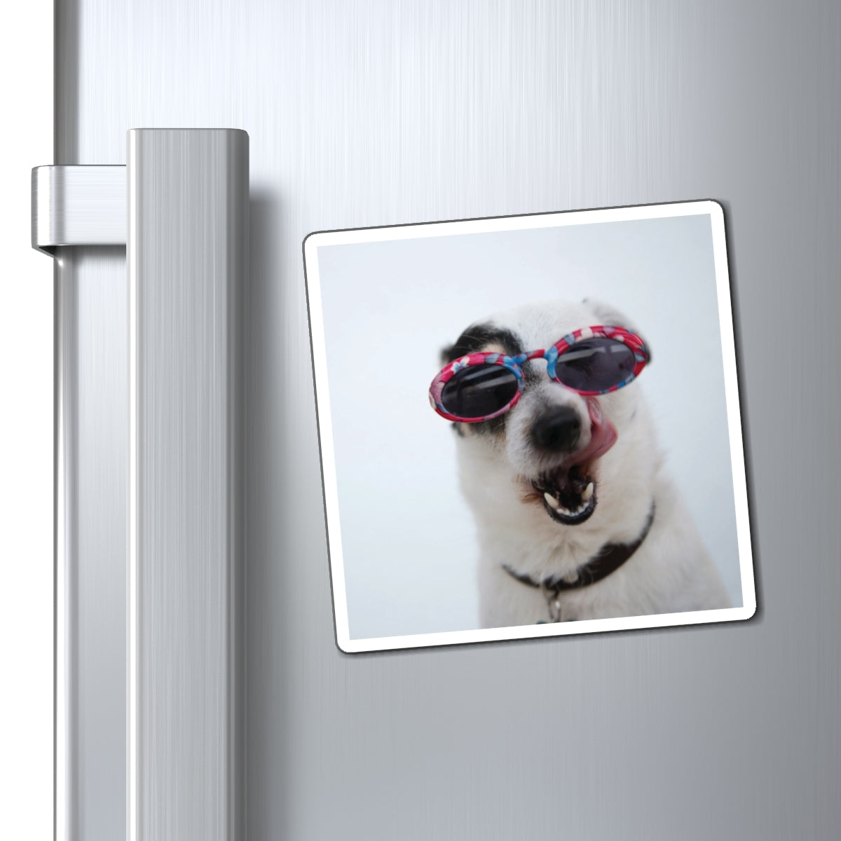 Funny Dog Photo Magnet