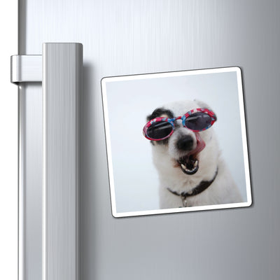 Funny Dog Photo Magnet