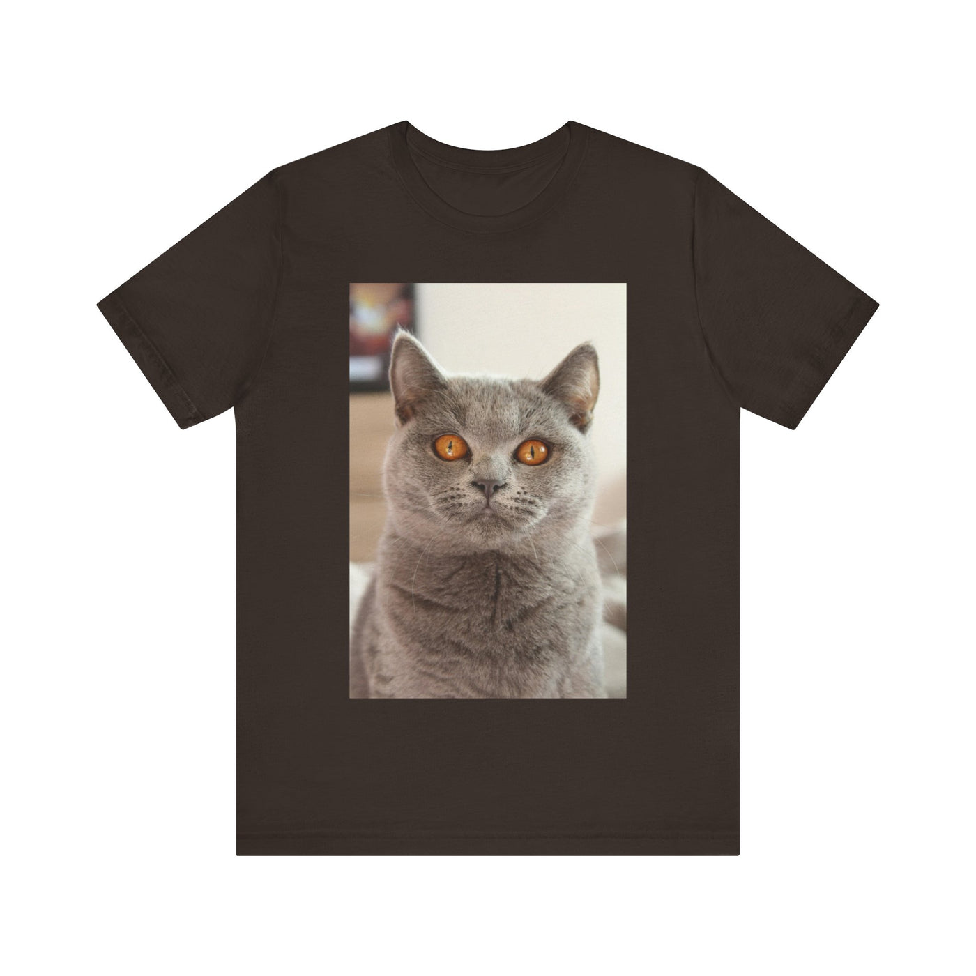 Grey Cat looks at you - Unisex Jersey Short Sleeve Tee