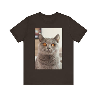 Grey Cat looks at you - Unisex Jersey Short Sleeve Tee