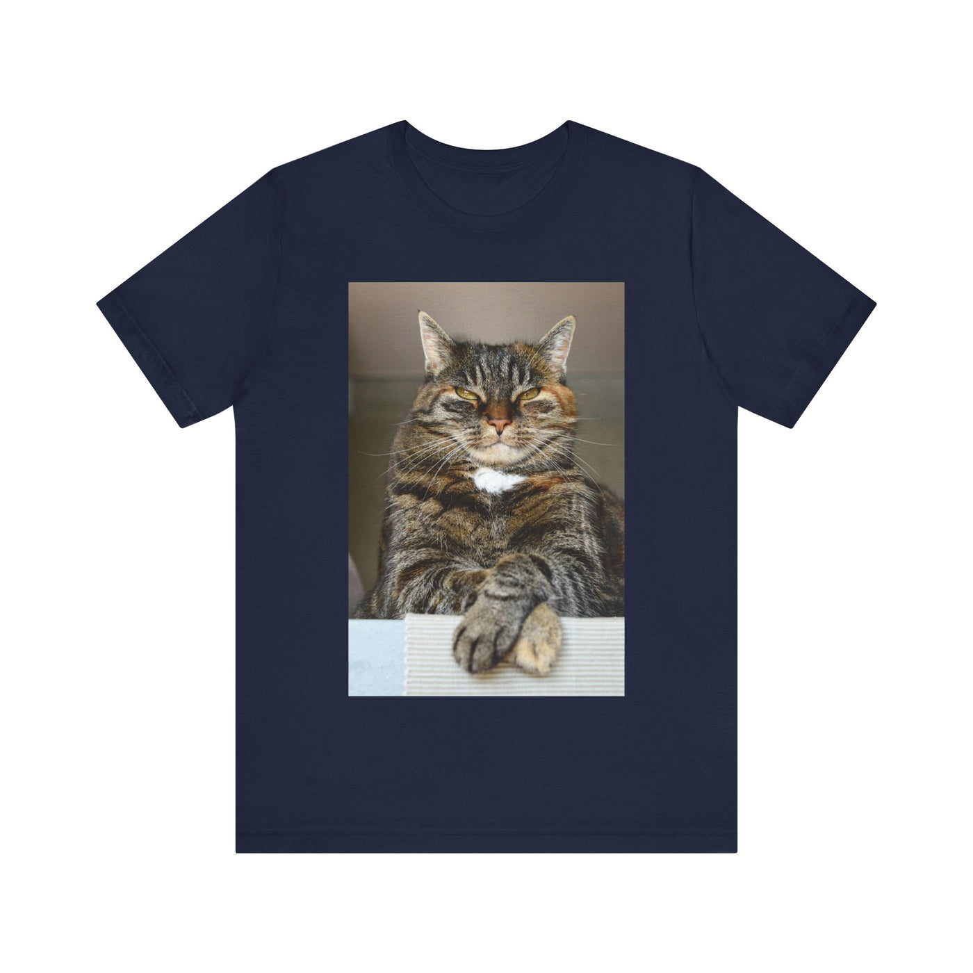 Brown Cat looks at you - Unisex Jersey Short Sleeve Tee