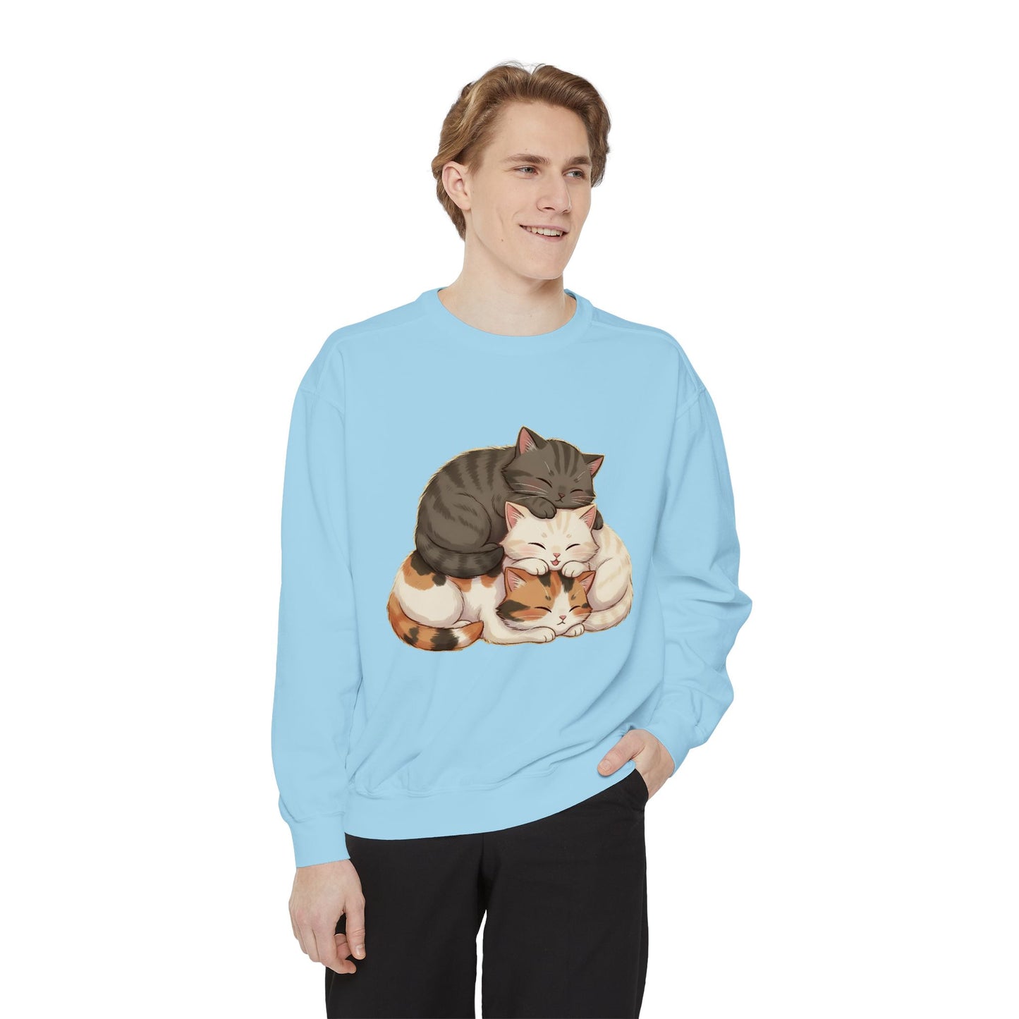 3 Cute Sleeping Cats Cozy Graphic Unisex Crewneck Sweatshirt style 3