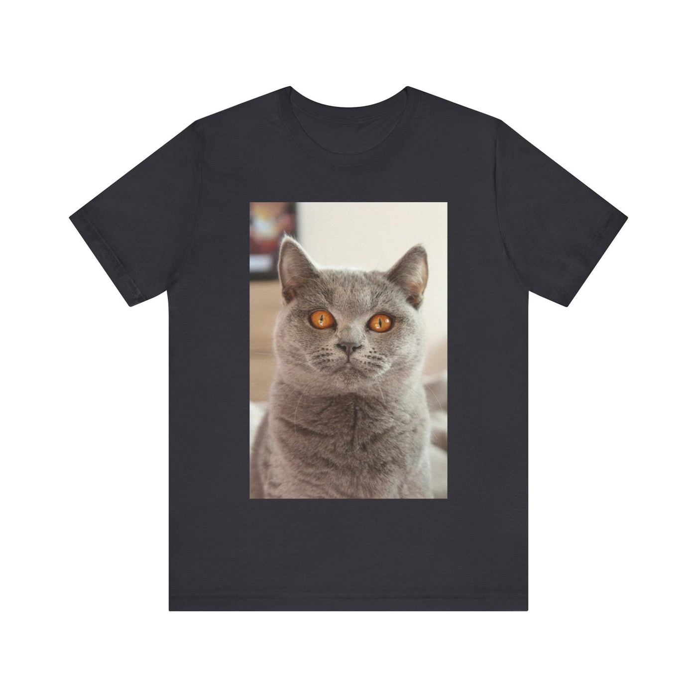 Grey Cat looks at you - Unisex Jersey Short Sleeve Tee
