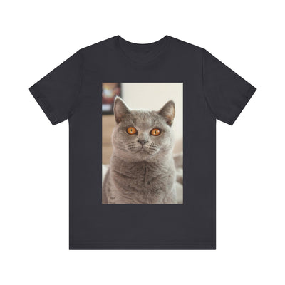 Grey Cat looks at you - Unisex Jersey Short Sleeve Tee