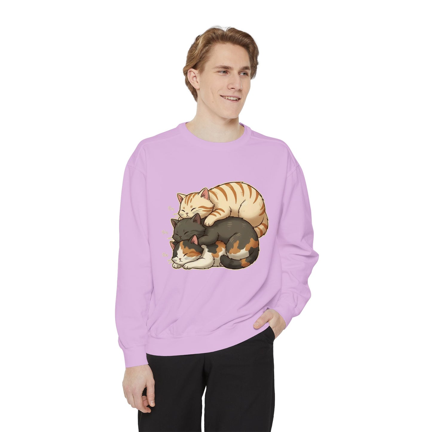 3 Cute Sleeping Cats Cozy Graphic Unisex Crewneck Sweatshirt style 4