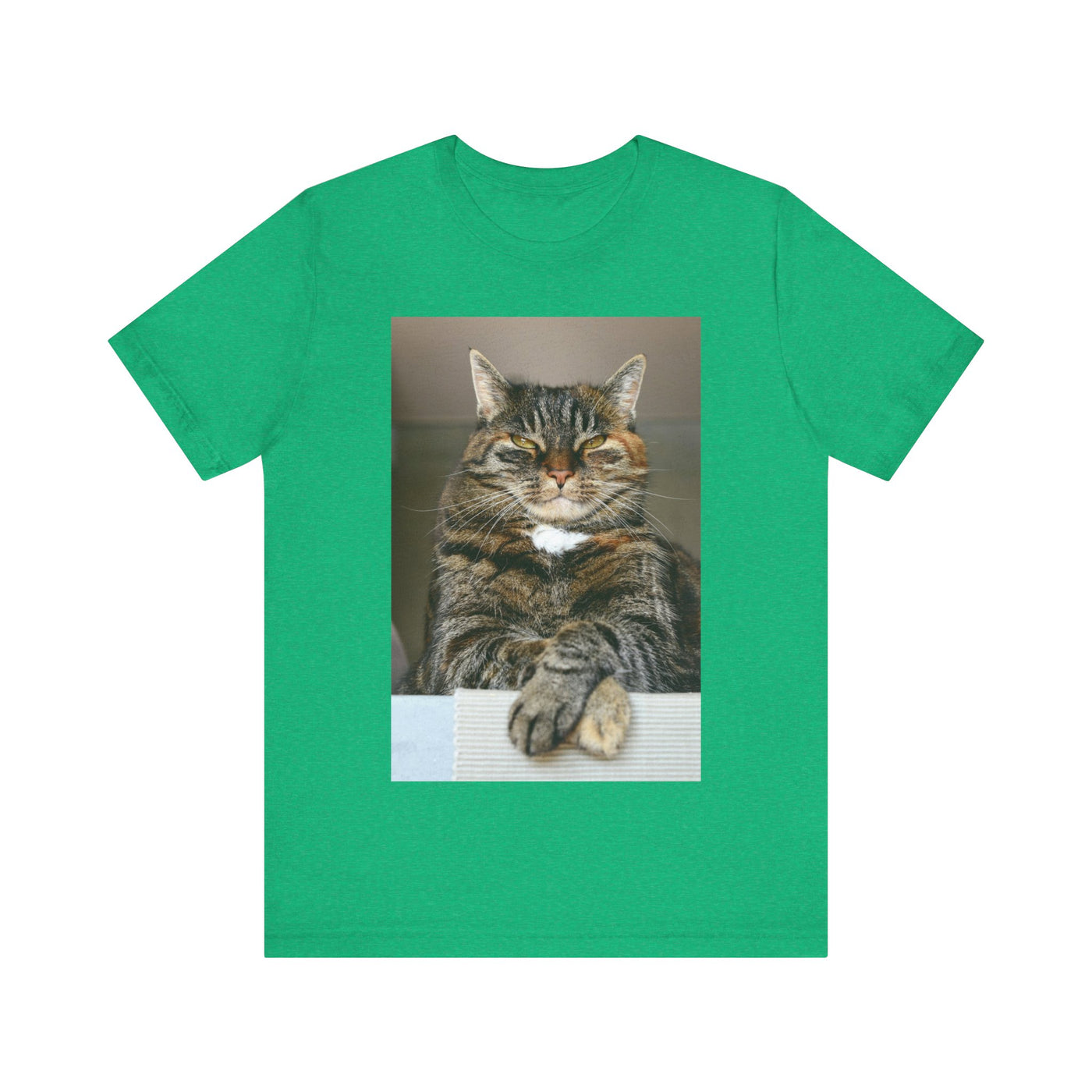 Brown Cat looks at you - Unisex Jersey Short Sleeve Tee