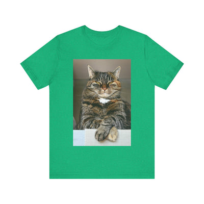 Brown Cat looks at you - Unisex Jersey Short Sleeve Tee