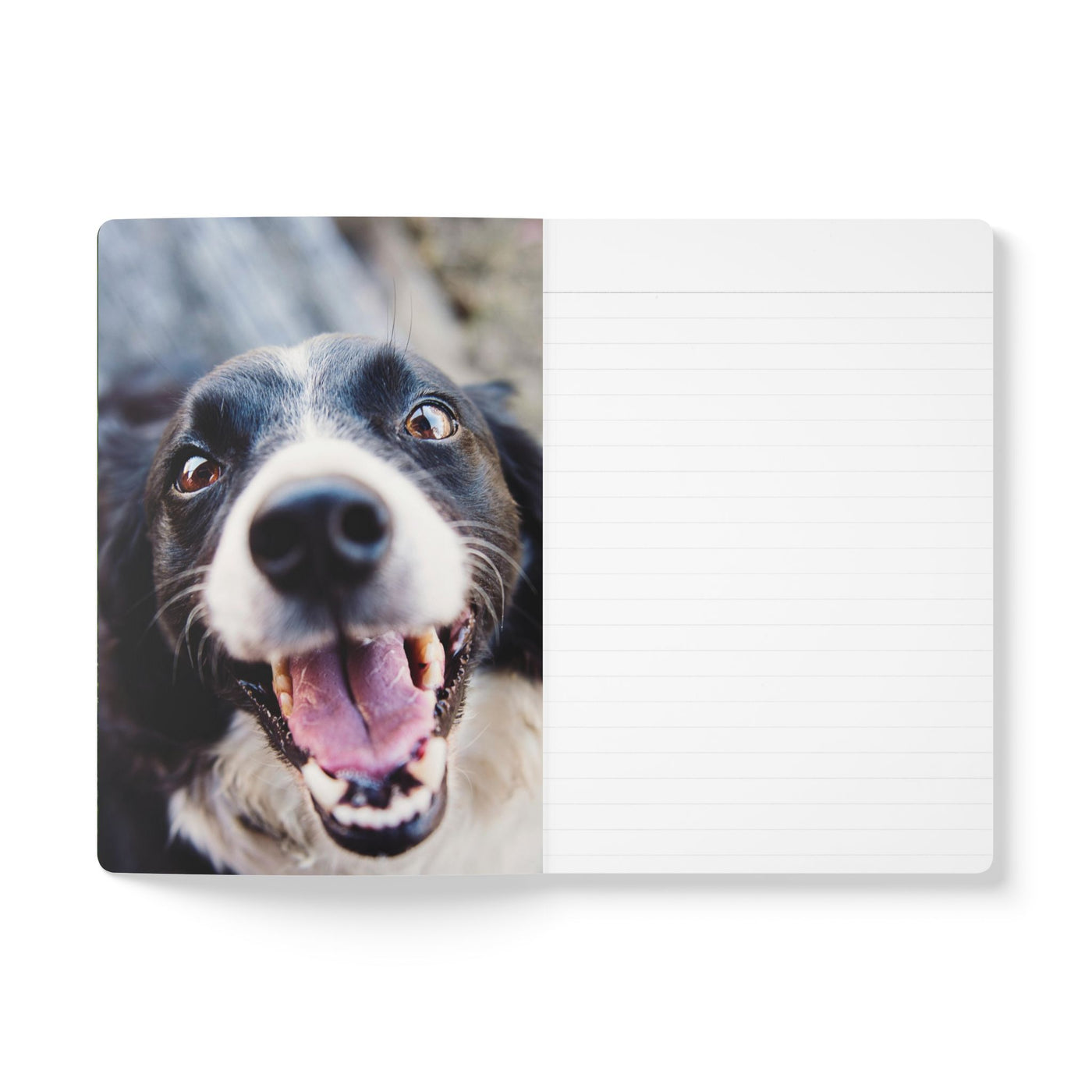 Adorable Dogs Softcover Journal - Perfect for Pet Lovers, Note-Taking, Journaling, Gifts, and Daily Reflection