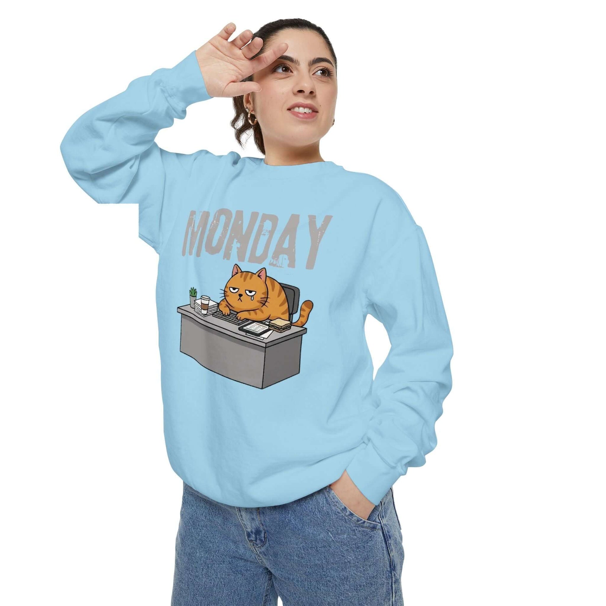 Monday Face Cat Stares Blankly Unisex Crewneck Sweatshirt in blue, featuring a grumpy cat under a 'MONDAY' banner.