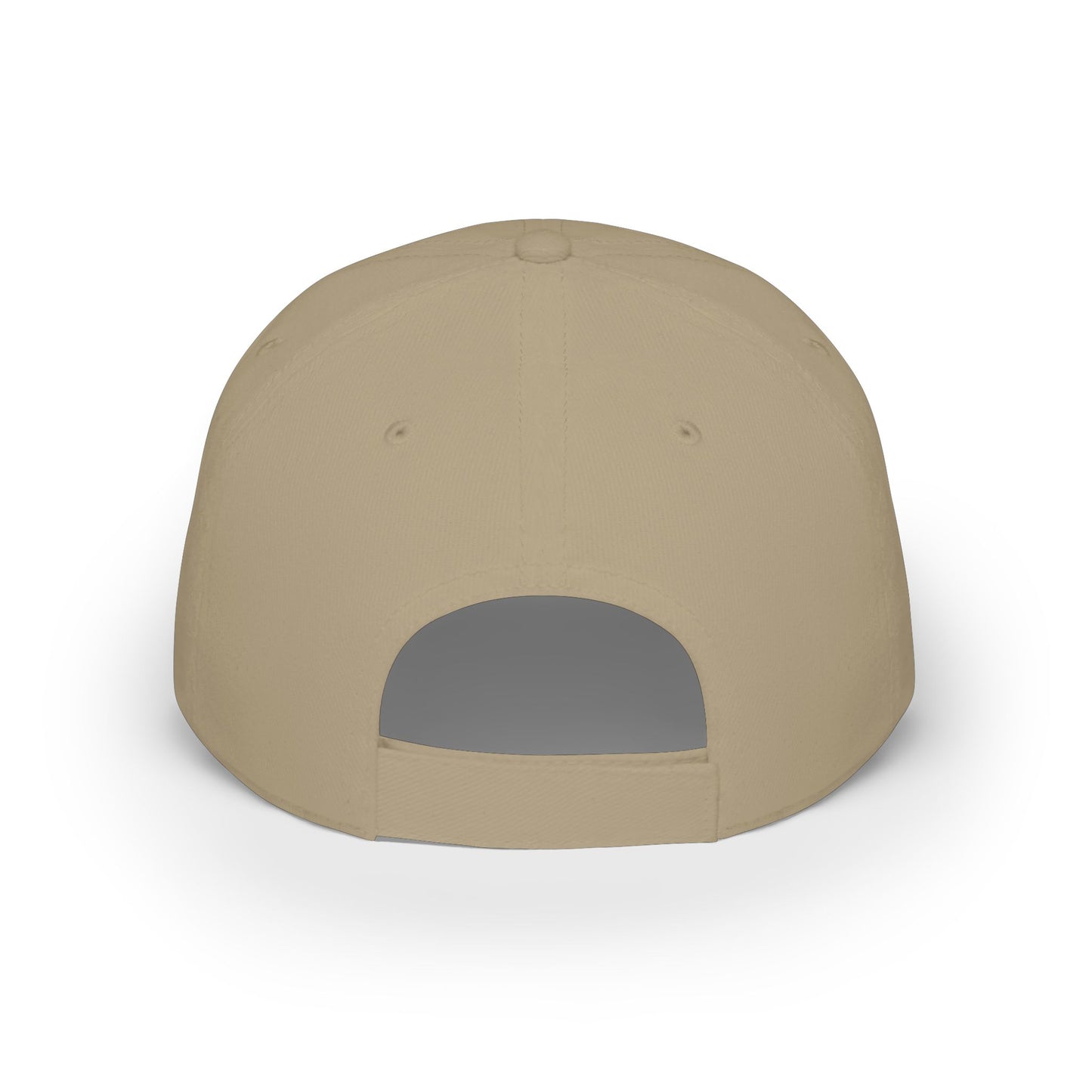 Where is my money Cute Dog Low Profile Cap Hat