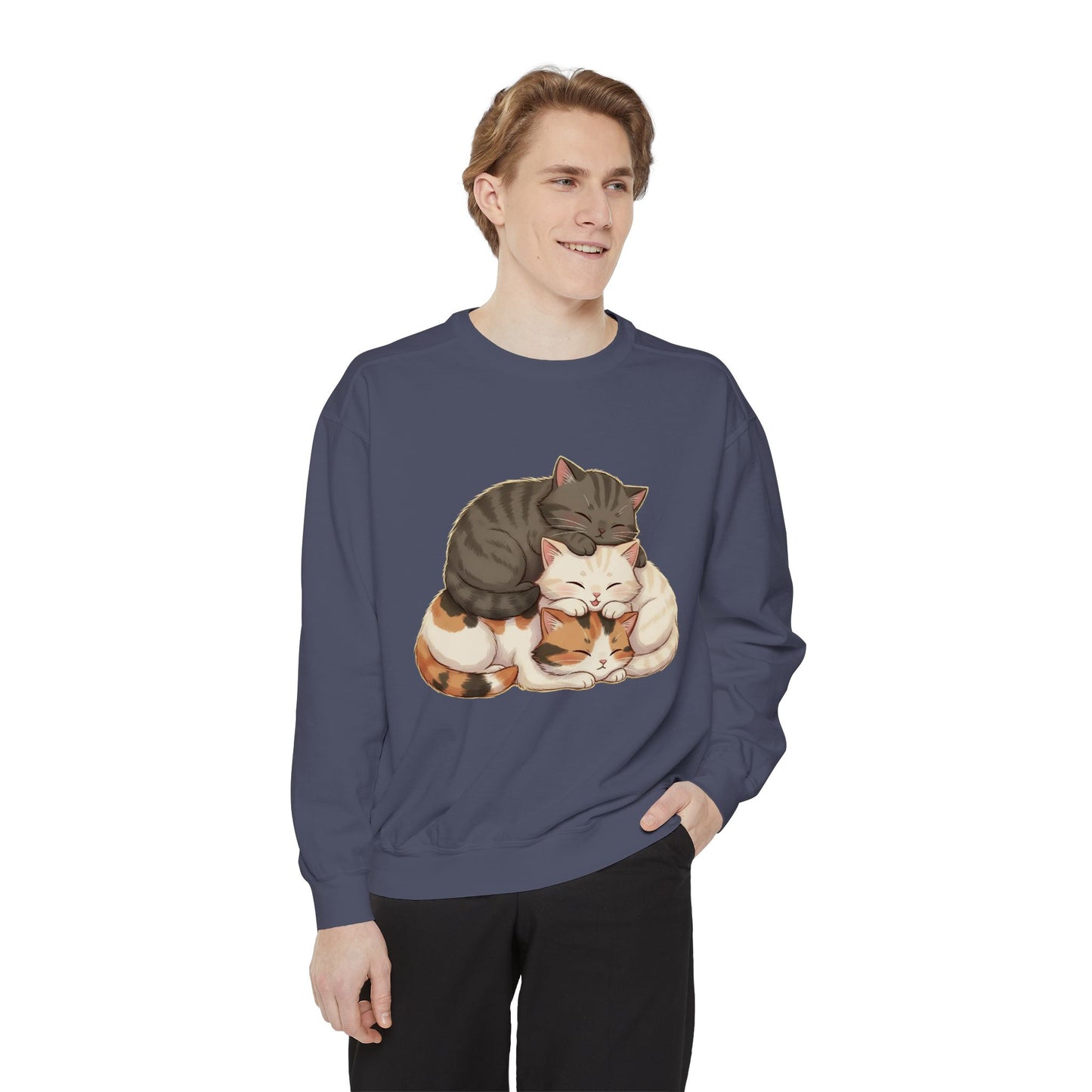 3 Cute Sleeping Cats Cozy Graphic Unisex Crewneck Sweatshirt style 3
