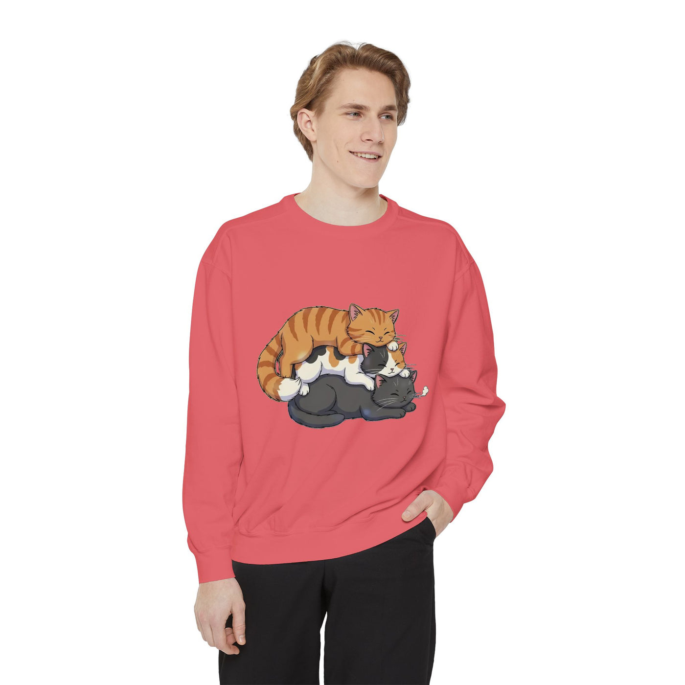 3 Cute Sleeping Cats style 6 Cozy Graphic Unisex Crewneck Sweatshirt