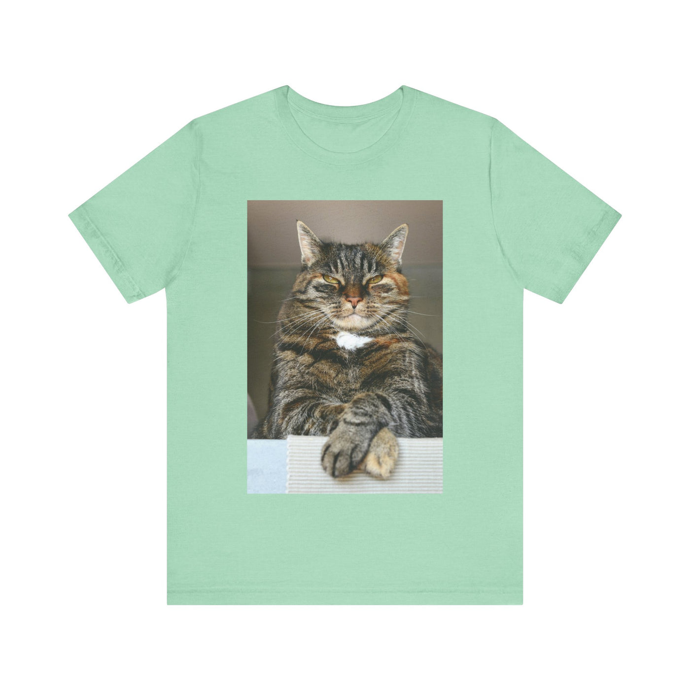 Brown Cat looks at you - Unisex Jersey Short Sleeve Tee