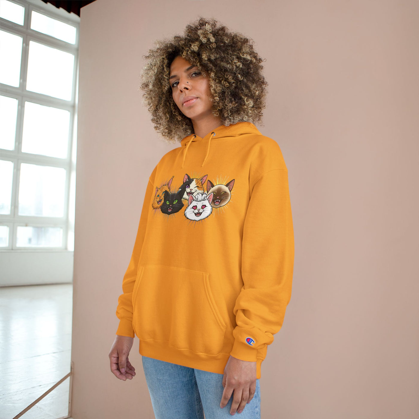 Playful Cat Champion Unisex Hoodie | Cozy Cat Lover Pullover, Pet Themed Gift, Cute Animal Apparel, Perfect for Cat Days