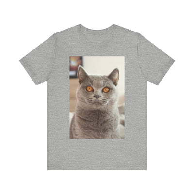 Grey Cat looks at you - Unisex Jersey Short Sleeve Tee