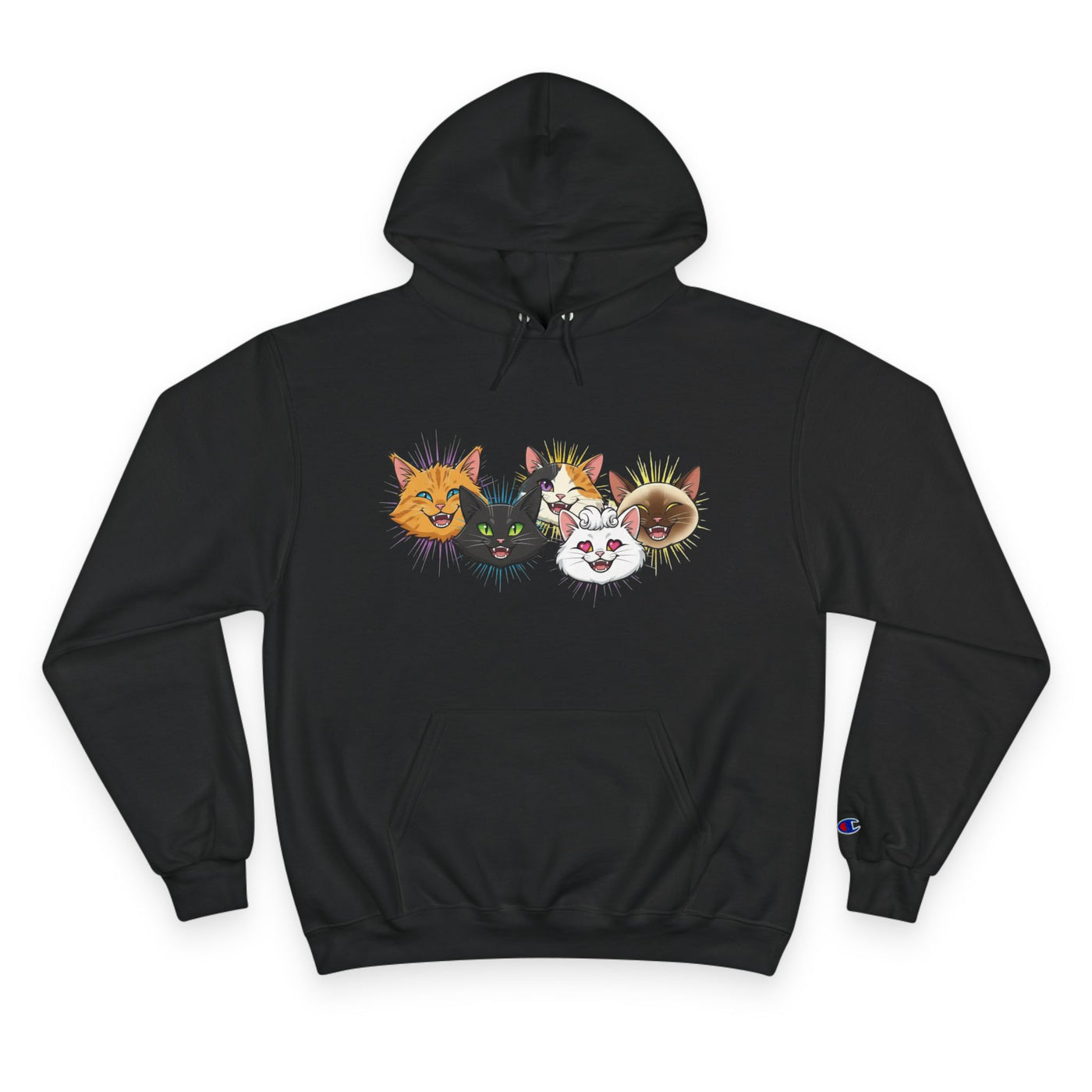 Playful Cat Champion Unisex Hoodie | Cozy Cat Lover Pullover, Pet Themed Gift, Cute Animal Apparel, Perfect for Cat Days