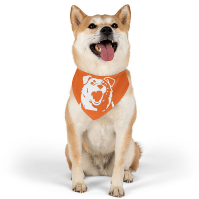 Orange Dog Bandana Collar – Dog Accessory, Great for Playtime, Pet Parties, Dog Walks, Halloween Costumes, and Summer Fun