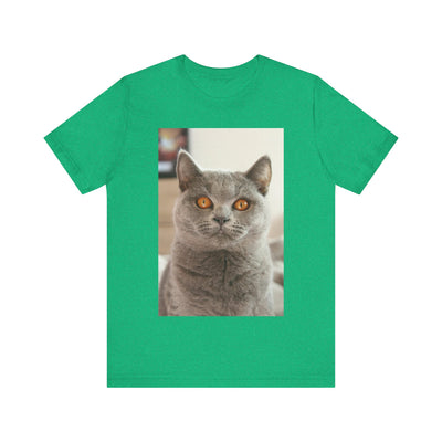 Grey Cat looks at you - Unisex Jersey Short Sleeve Tee
