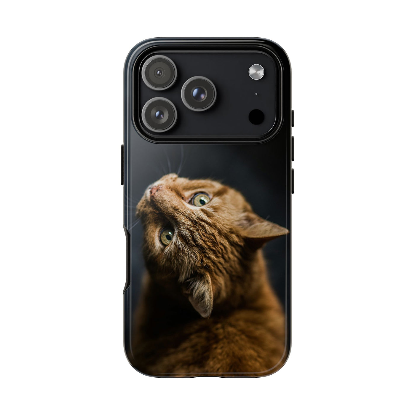 Yellow Cat - Tough Phone Case for Apple iPhone & Samsung Galaxy, Cute Pet Accessories, Gift for Cat Lovers