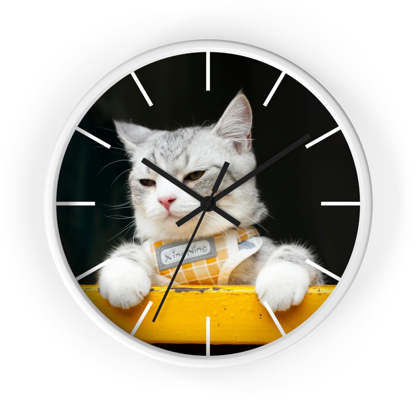 White Cat different colors Wall Clock