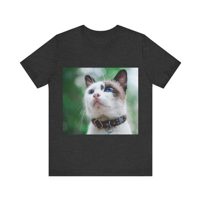 Cat with blue eyes - Unisex Jersey Short Sleeve Tee