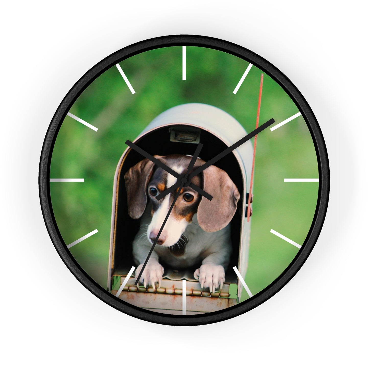 Dog in Post Box different colors Wall Clock