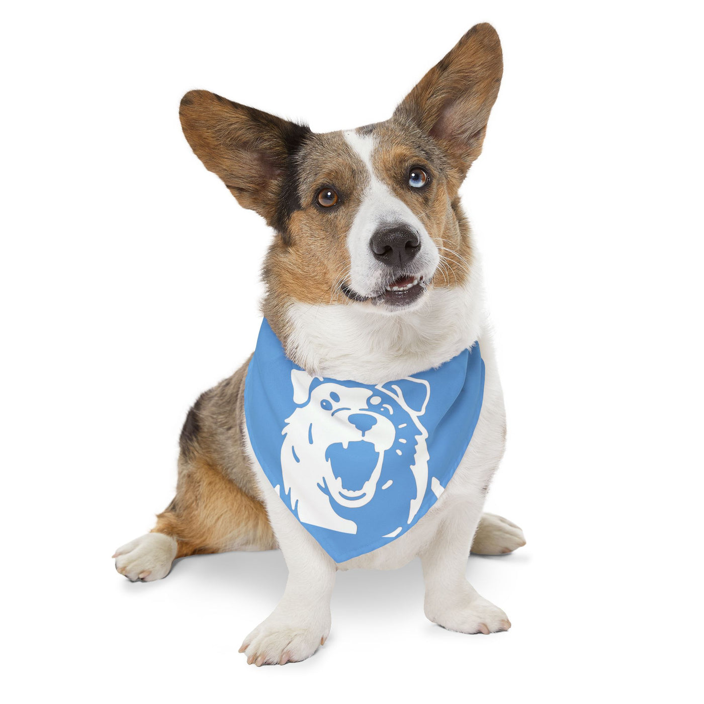 Blue Dog Bandana Collar – Dog Accessory, Great for Playtime, Pet Parties, Dog Walks, Halloween Costumes, and Summer Fun