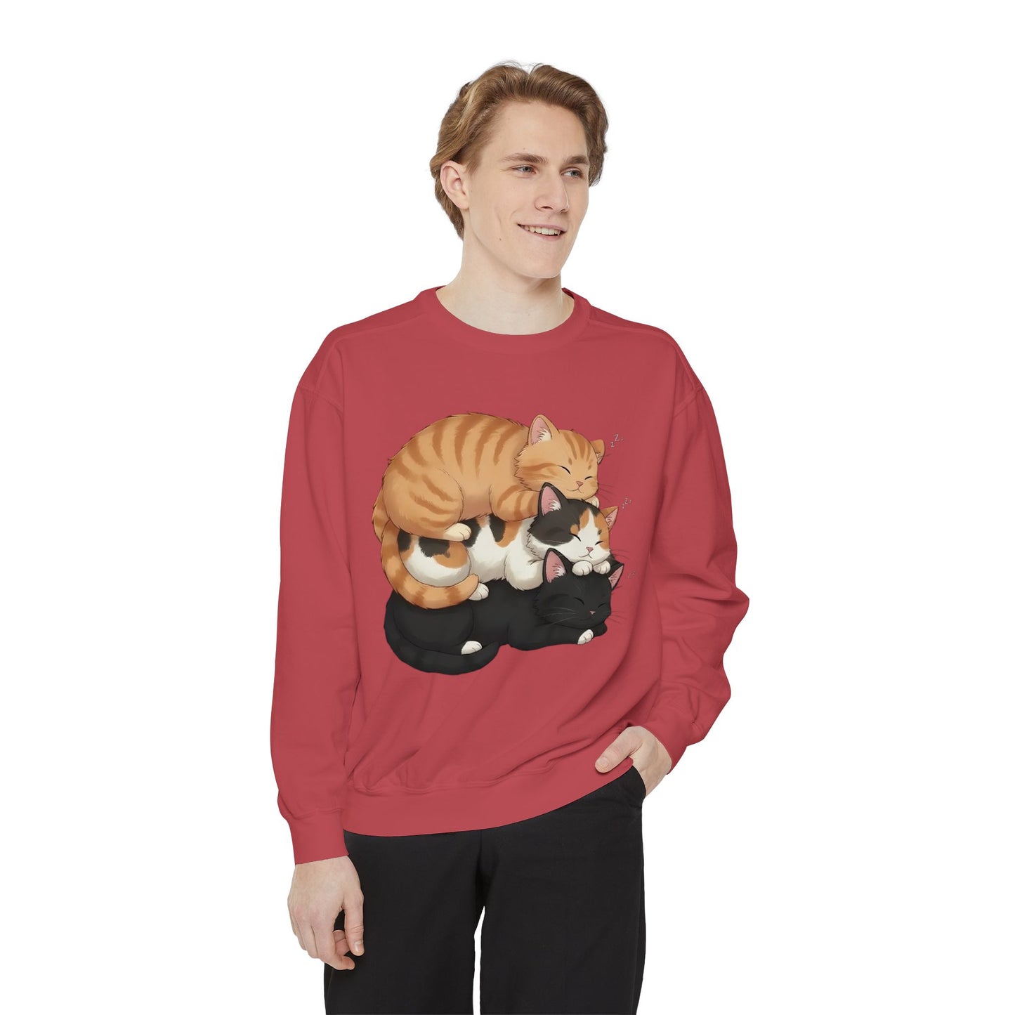3 Cute Sleeping Cats Cozy Graphic Unisex Crewneck Sweatshirt style 5