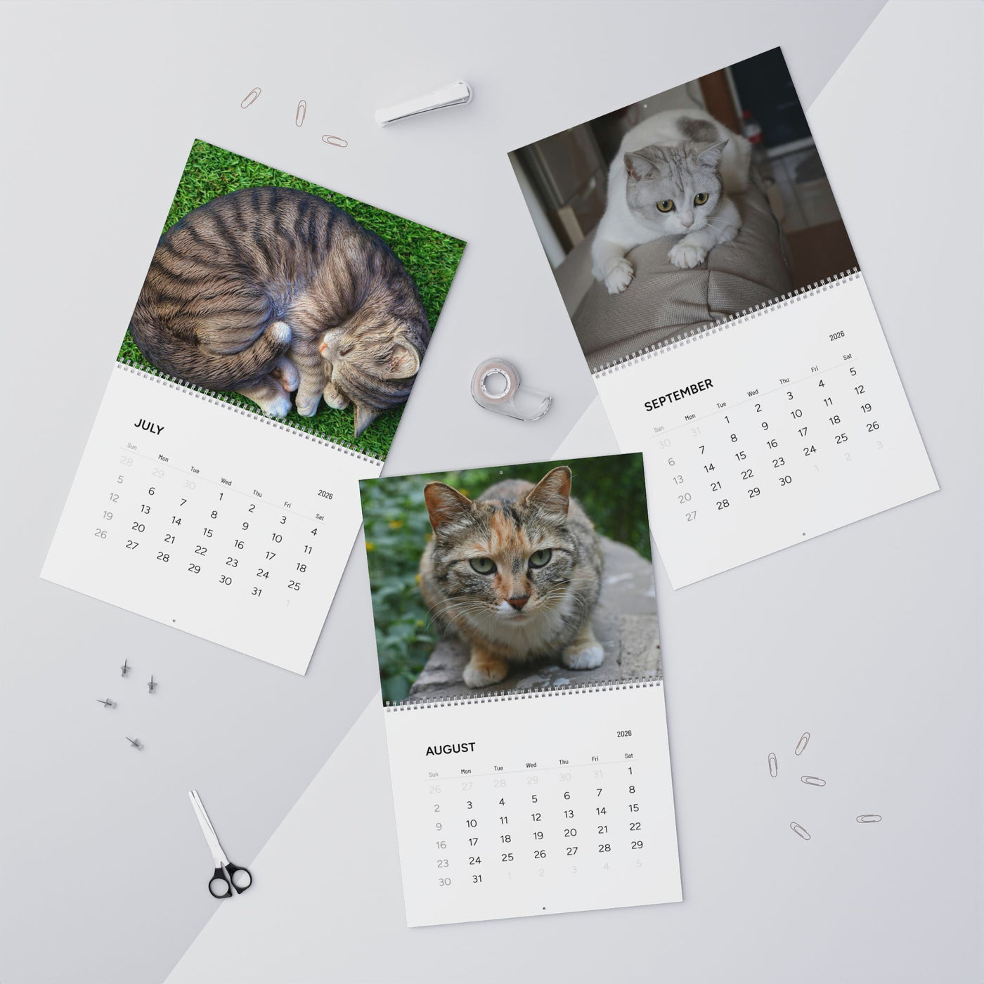 2026 Cat Wall Calendar, Cute Kitten Theme, Animal Lover Gift, Pet Lover Wall Decor, Monthly Planner