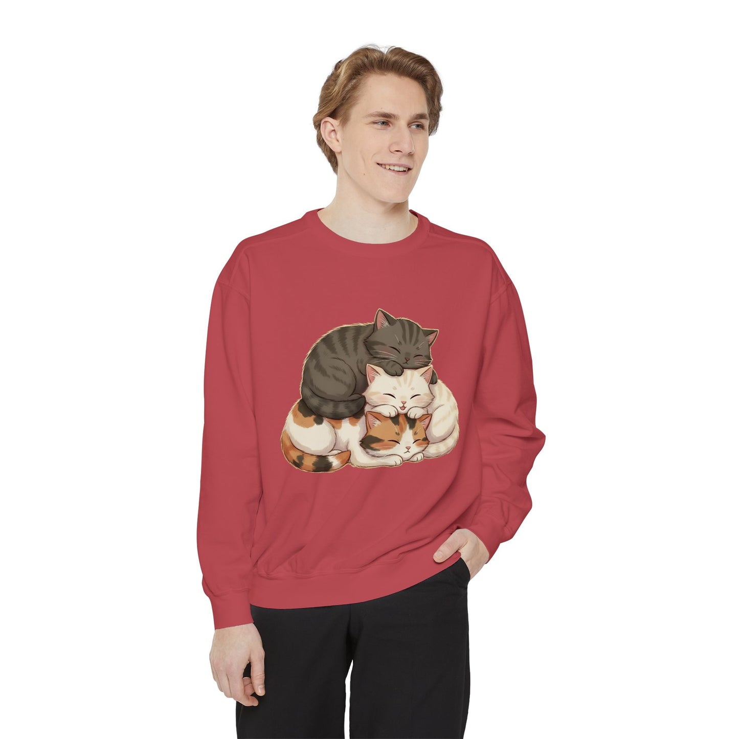 3 Cute Sleeping Cats Cozy Graphic Unisex Crewneck Sweatshirt style 3