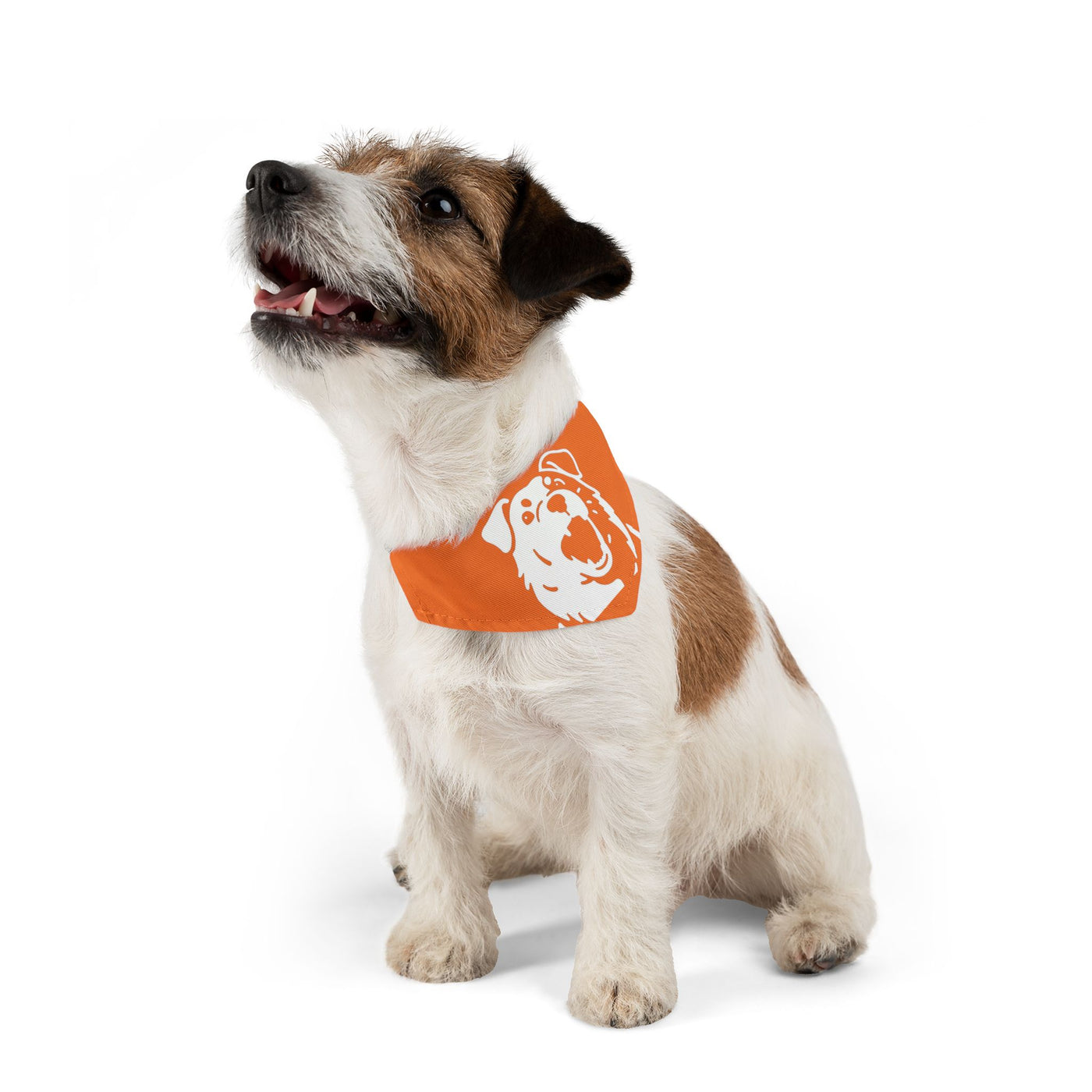 Orange Dog Bandana Collar – Dog Accessory, Great for Playtime, Pet Parties, Dog Walks, Halloween Costumes, and Summer Fun